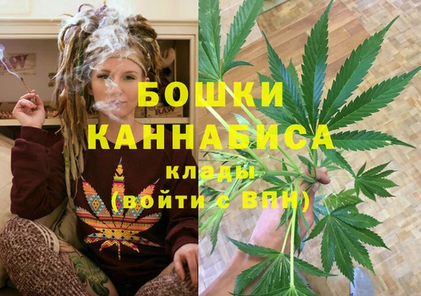 СК Дмитров