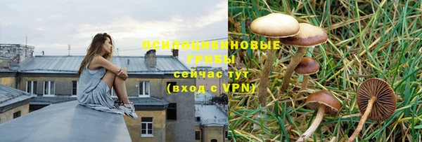 каннабис Алексин