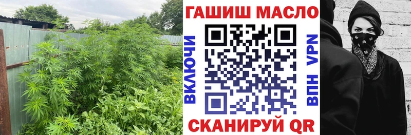площадка наркотические препараты  Катав-Ивановск  ТГК THC oil  наркошоп 