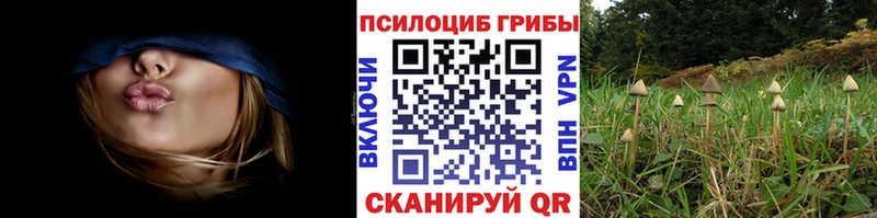 Галлюциногенные грибы ЛСД  ОМГ ОМГ как зайти  Катав-Ивановск 