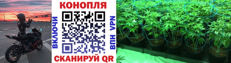 где купить наркоту  Катав-Ивановск  Шишки марихуана Ganja 